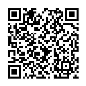 令这两个从小娇生惯养的少年郎都是一阵变色胆怯二维码生成