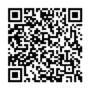 令这个文明的所有个体都乖乖臣服却是难于登天二维码生成