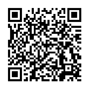 以一个普通匠师学徒的能力亲自动手做一遍这些事情二维码生成