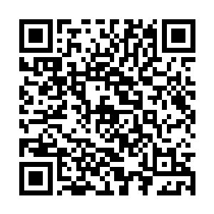 以一双拳头和白色蛟龙展开了震慑人心的近身搏斗二维码生成