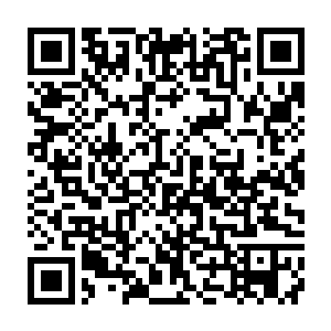以一种匪夷所思的速度冲到了一块磨盘大小还没被开采出来的空灵晶面前二维码生成