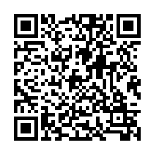 以七日之功完成了一篇全新的可以遮掩生机的秘术二维码生成