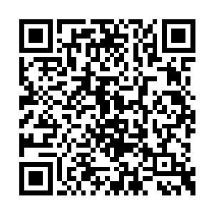 以上元大陆在斩杀巨虫中所起的至关重要的作用二维码生成