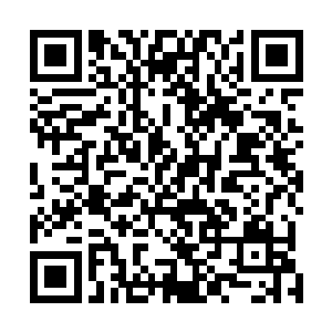 以上这八个国家十余处地点就是我们目前已经形成的据点二维码生成