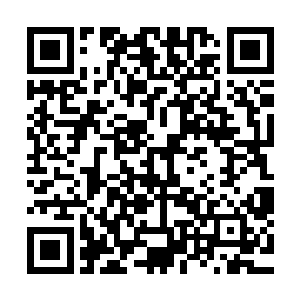 以世界的体量违背本能做这种看似无用又耗费力量的水平移动二维码生成