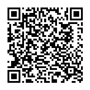 以为他们知道即使是他们不出手的话等他们回去也不会有什么好下场二维码生成