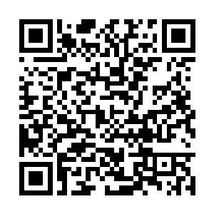 以为借助我星辰大陆的力量便可以令那些种族退去二维码生成