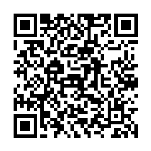 以为害怕这个刺根本就不存在与白芷璃的词典之中二维码生成