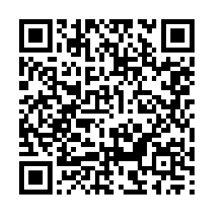 以为我们今天送你们新生大巫过来是为了讨好你们二维码生成