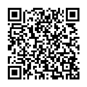 以为是什么宝物的我拿起这些白色的珠子细细钻研二维码生成