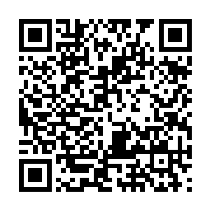 以为自己终于可以为长辈做些事的穆根还不想放弃二维码生成