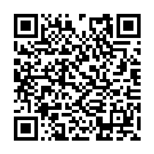 以为这样便能撇清你们上一代圣女造下的杀孽了么二维码生成