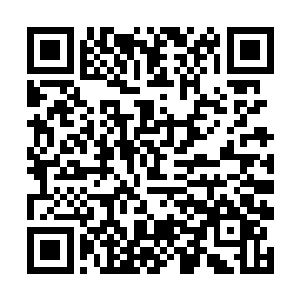 以为飞天幻影的速度是飞天盗王凭借本能催动出来的二维码生成