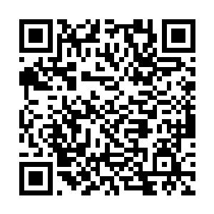 以人类现在吃饱了没事干就稀罕搞内斗搞战争的尿性二维码生成