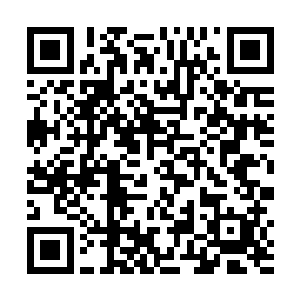 以他们俩的修为竟然没有发现此人是什么时候坐上去的二维码生成