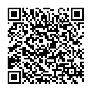 以他们现在的视力都能看到最前面那批金乌族人脸上的狰狞神色了二维码生成