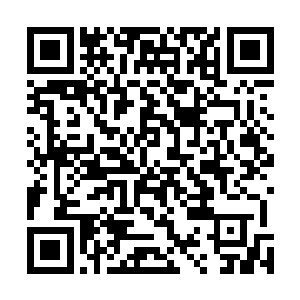 以他们的实力根本就经受不住这种密集的紫宵神雷的轰击二维码生成
