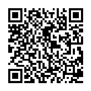 以他们的实力自然能看出长阳明月只是一名初入大地圣师的武者二维码生成