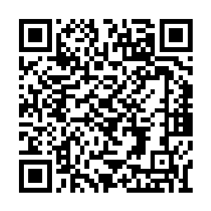 以他半步仙王的实力借用东罗伞施展六十种神通二维码生成