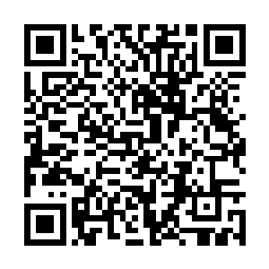 以他如今的修为在这坚手天也就是堪比无敌的存在二维码生成