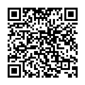 以他的体质和不老树的功效几日功夫就可以恢复完全二维码生成