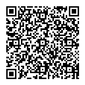 以他的修为灌入真正的狂龙真罡并不是什么难事儿……或许会因为揠苗助长而导致李无花未来的成就会很有限二维码生成
