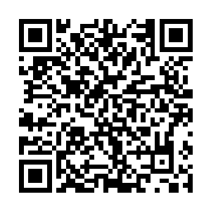 以他超卓的计算力规划着航线和灵能护盾的防御力度二维码生成