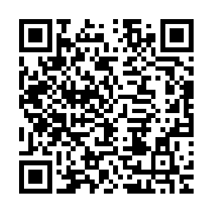 以他这个层次的人如果没有一个熟悉县委县政府内幕的人帮助二维码生成