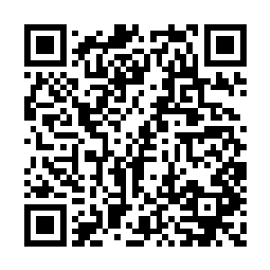 以你们不朽之境的实力能够逼迫我进入这个形态二维码生成