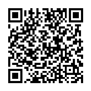 以你们现在的实力继续留在这里已经没多大的帮助了二维码生成