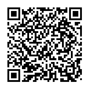 以你现在的修为结出来的果实要比你炼气期结出来的果实品级还要高二维码生成