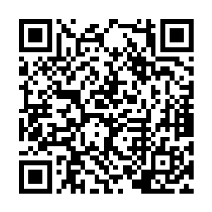 以你神王境界对付神翼族和神晶族差距不会很大吧二维码生成