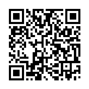 以俄罗斯为代表的中东欧飞行员就只能拿五百二维码生成