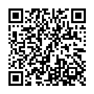 以免夜长梦多飞龙部落那边的白雾族人发生什么二维码生成