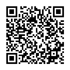 以冷月城为中心呈现放射性的临时楼阁洞府纷纷平地而起二维码生成
