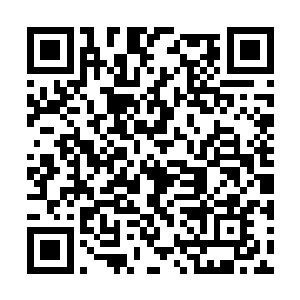 以凤君曜的能力他肯定知道梅花树后面有人在看他二维码生成