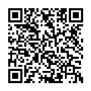 以凤沉鱼为首的凤家三姐妹就连大气都不敢出了二维码生成