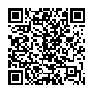 以刚刚突破的实力去挑战一个在天道领域立足已久的强者二维码生成