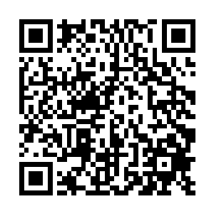 以前七玄武府出来的武者越级战斗跟吃饭喝水一样简单二维码生成