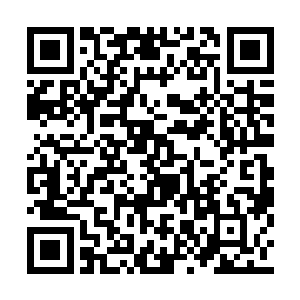 以前为了绅士风度让这个小瘪三嚣张了好一阵子二维码生成