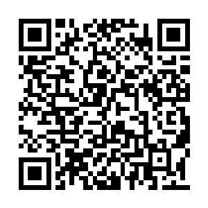 以前他从未想过自己竟然可以射杀一个宗师武者二维码生成