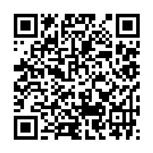 以前他从未觉得身为唐王世子有什么了不起的地方二维码生成