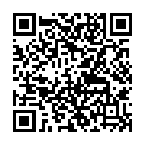 以前他还以为一定要放生蚯蚓才能获得这样的能力二维码生成