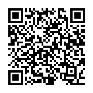 以前你们的计划本小姐没参与所以不会和你们一起共同承担后果二维码生成