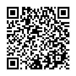 以前做任务的时候怎么从来没感觉到有其他玩家的存在二维码生成