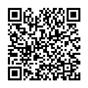 以前全美捕到的最重的大眼金枪鱼也就是七百四十磅二维码生成