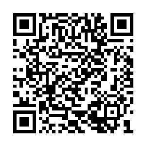 以前准备用魔兽晶核可是现在龙傲天改变主意了二维码生成