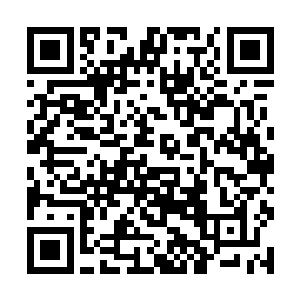 以前在新闻上也看到过多起野猪攻击甚至吃人的惨剧二维码生成