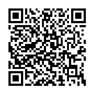 以前在潜龙岛的时候他差不多每天都去放生沙鳞二维码生成