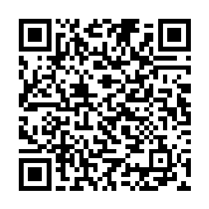 以前在班上最木讷最内向最少参加集体生活的一个人二维码生成
